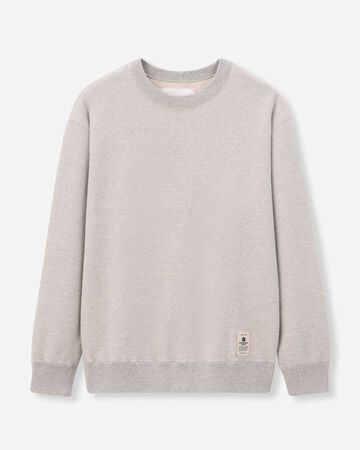 HEAVY TERRY SWEAT SHIRT,gris, large image number 5