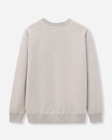 HEAVY TERRY SWEAT SHIRT,gris, large image number 6